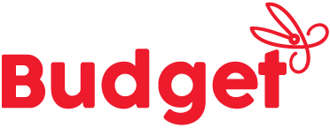 bs logo